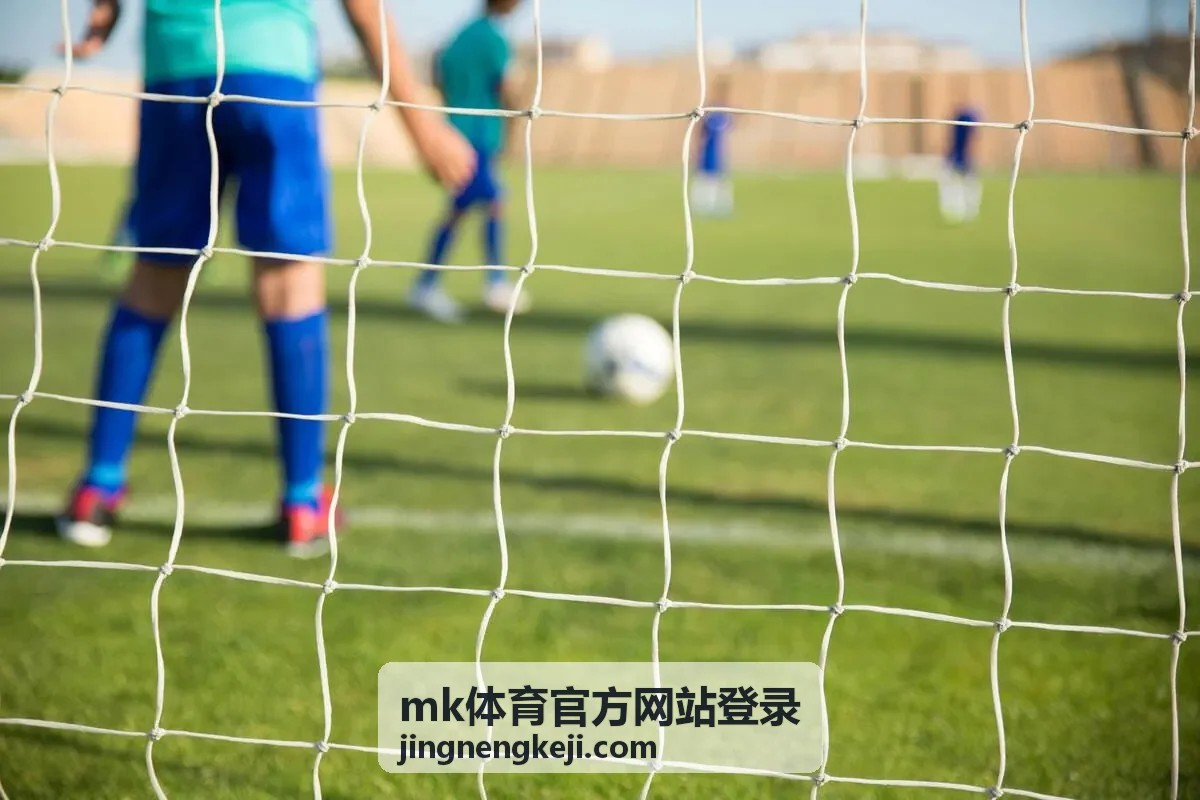 mk体育官方网站登录 账号注册资料填写页面示意